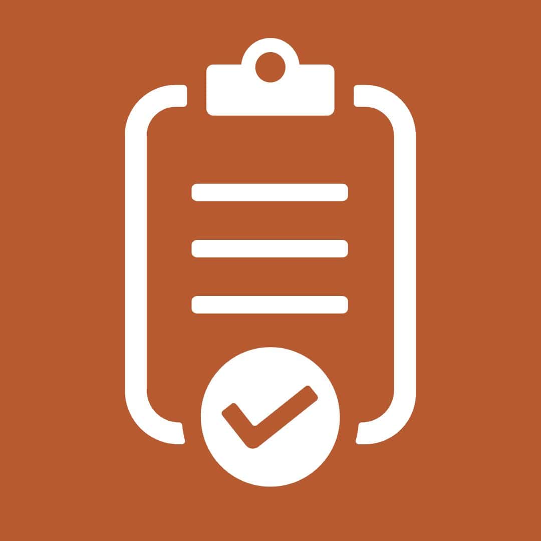 audit icon.