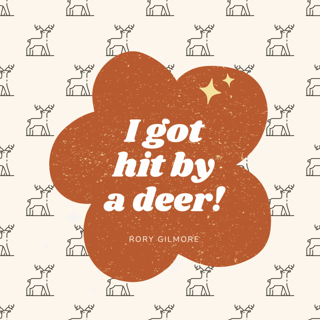 I got hit by a deer! Rory Gilmore.